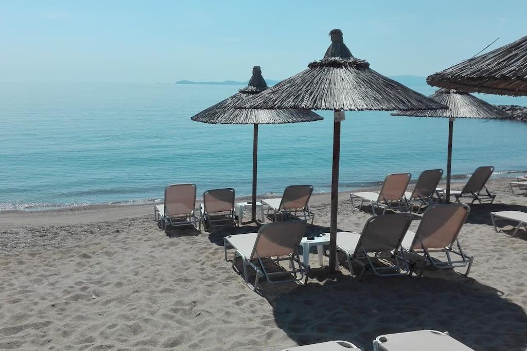 Cosy House Stratoni Chalkidiki 300M From Beach Экстерьер фото
